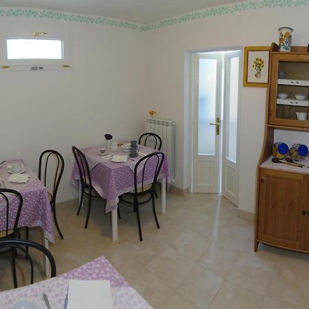 Alloggi Marin Mira Extérieur photo